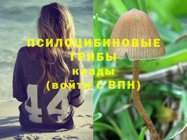 apvp Алексин
