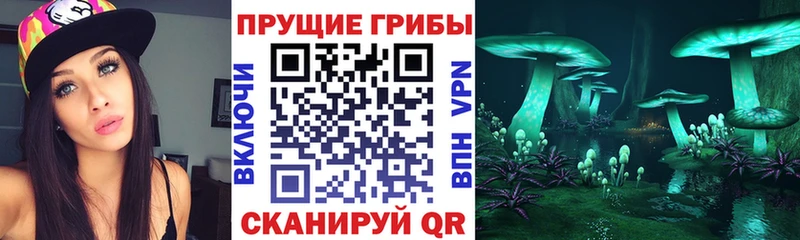 Галлюциногенные грибы Cubensis  дарнет шоп  Анива 